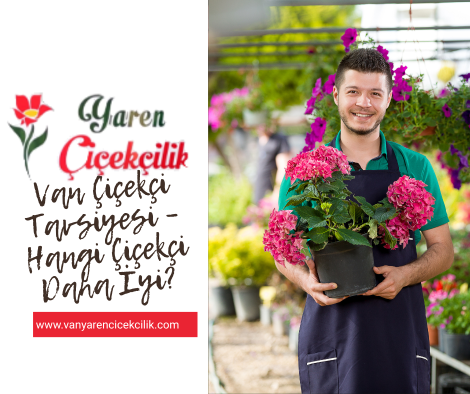 Van Çiçekçi Tavsiyesi – Hangi Çiçekçi Daha İyi?